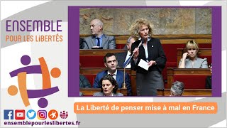 La Liberté de penser mise à mal en France [upl. by Neelac]