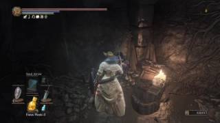 DARK SOULS™ III Gesture Locations Silent Ally [upl. by Armando]