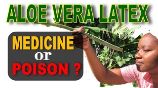 Taking Aloe Vera Latex as Medicine😖  How to Eat Aloe Vera [upl. by Vail]