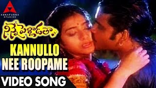 Kannullo Nee Roopame Video Song  Ninne Pelladatha Movie  NagarjunaTabu [upl. by Eixel583]