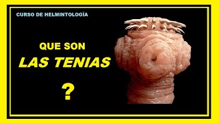 Todo sobre la TENIASIS  Curso de Helmintología [upl. by Bully]