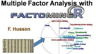 Multiple Factor Analysis MFA with R using FactoMineR [upl. by Iris]