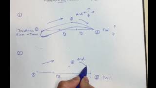 Basic Eyebrow Shape  Homework 1 [upl. by Marty]