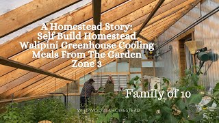 Harvesting Supper From the GardenYear Round Greenhouse Progression [upl. by Deroo421]