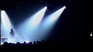 Type O Negative  Too Late Frozen Live1999 [upl. by Meingoldas209]