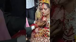 Minu puppy Kale Bandar Ki Mehandi wedding shadi shortvideos  Seema Haider [upl. by Enail669]