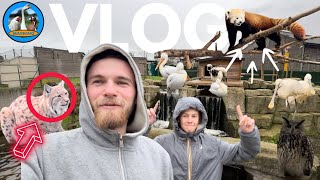 ÉNORME VLOG VISITE PARC BIOTOPIA [upl. by Tesil907]