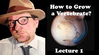 Lecture 1 How to Grow a Vertebrate [upl. by Leanna]