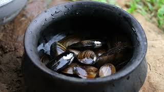 Story 84 Freshwater pearl mussel and ternate tea for early dinner  Filipino Countryside Life [upl. by Aisetal]