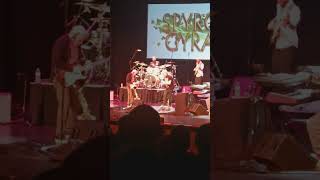 Spyro Gyra Live 50th Anniversary jazz spyrogyra [upl. by Richma]