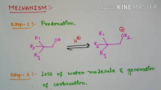 Wagner Meerwein Rearrangement [upl. by Joselyn823]