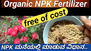 ರೂಪಾಯಿ ಖರ್ಚಿಲ್ಲದ ಆರ್ಗಾನಿಕ್ NPK ಮಾಡುವ ಸುಲಭ ವಿಧಾನhow to make organic NPK at homeNPK Fertilizer [upl. by Matilde546]