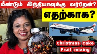 ✈️ மீண்டும் ஊருக்கு கிளம்பியாச்சிஏன்Christmas cake fruit mixingகண் கொள்ளா காட்சி [upl. by Krisha428]