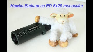 Hawke Endurance ED 8x25 monocular [upl. by Nnahtebazile]