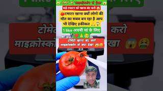 टमाटर under the microscope 🔬😱 microscope facts knowledge science tomato ytshorts viralshort [upl. by Gnahc733]