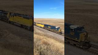 An interesting lashup at Julesburg CO from Oct 2023 unionpacific railfan [upl. by Aitas]