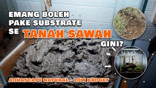 Aquascape low budget substrate tanah sawah ukuran 30cm tema natural sederhana bisa hemat banyak [upl. by Yancy]