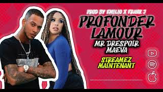 Mr Drespoir Ft Maëva  Profonder Lamour  Canada Remix [upl. by Rehpotsyrk]