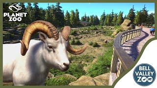 Starting the Great Northwest with a DALL SHEEP habitat  Bell Valley Zoo  Planet Zoo [upl. by Bruckner3]