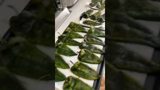 Chiles rellenos😎✌🏻chilesrellenos vickytan comida chilescapeados capeadoperfecto capeado [upl. by Shull]