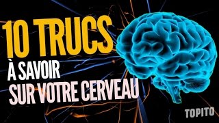 Top 10 des choses que vous ignoriez sur votre cerveau [upl. by Shenan198]