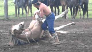 Horse Skills of the Gauchos of Argentina [upl. by Bullion]