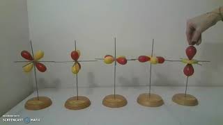 Types of Orbitals dorbitals [upl. by Hpesoj]