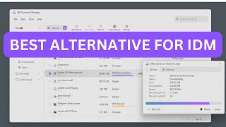 New Best Download Manager For Windows 1011 in 2024  Best IDM Alternatives  AB Download Manager [upl. by Nyved]