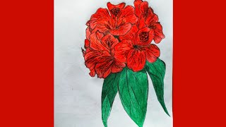 How to Draw a National Flower Laligurans  Flower Rhododendron [upl. by Kumar]