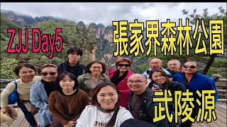 ZJJ 张家界 ZhangJiaJie Day5  武陵源 国家森林公园 [upl. by Salohci]