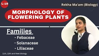 Lec19 Morphology of flowering plant  Fabaceae solanaceae Liliaceae  Neet  11th bio chapter5 [upl. by Jala]