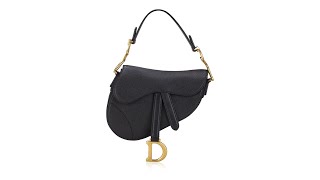 Christian Dior Grained Calfskin Mini Saddle Bag Black [upl. by Ahsikrats138]