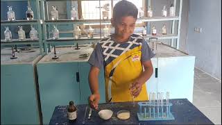 starch test performed by the students of class 7 cbse experiment education learning [upl. by Tidwell]