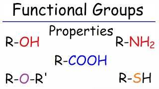 Properties of Functional Groups  Organic Chemistry [upl. by Kashden]