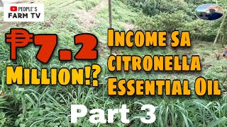 VLOG 17 Integrated farming  Citronella Plant Part 3 Posible bang kumita ng malaki Panoorin [upl. by Araic]