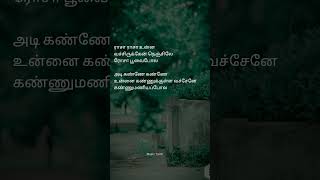 Rasa Rasa Unna Vachirukken Nenjile Song Lyrics in Tamil [upl. by Siurtemed]