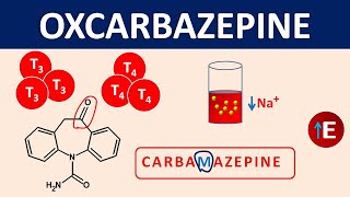 Oxcarbazepine  Mechanism side effects precautions amp uses [upl. by Oinotla]