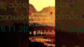 ဒုတိယမြောက်ပါတ်သီးလေးပါ [upl. by Kostival482]