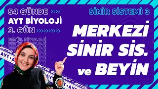 3 Merkezi Sinir Sistemi ve Beyin  11 Sınıf Biyoloji  2024 AYT Biyoloji Kampı 3 Gün [upl. by Ycrad]