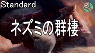 Standard  ネズミの群棲  Rat Colony 【MTG】 [upl. by Poppy]