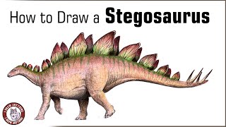 How to Draw a Stegosaurus  Colored Pencil Drawing [upl. by Asenav660]