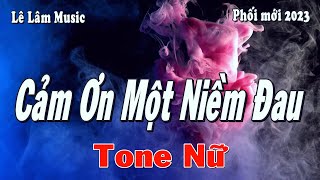 Karaoke  CẢM ƠN MỘT NIỀM ĐAU Tone Nữ  Lê Lâm Music [upl. by Atnamas]