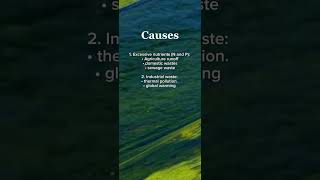 Algal bloom Causes Effects Eutrophication HindiUrdu Concepts of Botany [upl. by Harlie]