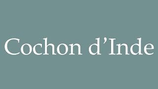 How to Pronounce Cochon d’Inde Correctly in French [upl. by Maxy172]