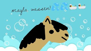 mayla wassen💦🛀 ponytail1218  hobbyhorse  wassen [upl. by Notgnillew282]