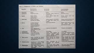 Inter relationship of Hemichordata Urochordata and Ciphalochordata II [upl. by Noemi886]