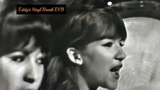 You Baby  The Ronettes Rare Performance November 1964 [upl. by Niwde]