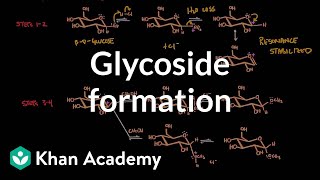 Carbohydrate  Glycoside formation hydrolysis  Chemical processes  MCAT  Khan Academy [upl. by Llerrej]