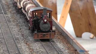 Live Steam Model Train 4 [upl. by Michon]