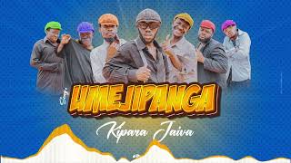 Kipara Jaiva  Umejipanga Official music audio singeli [upl. by Terag]